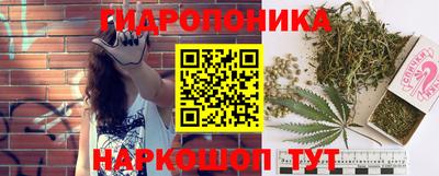 шишки Краснокаменск