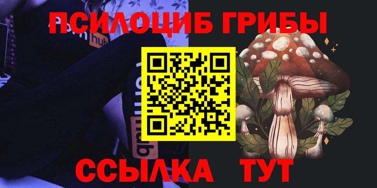 где купить   Галлюциногенные грибы Magic Shrooms  Каменск-Шахтинский  Вход с VPN  Псилоцибиновые грибы Psilocybine cubensis 
